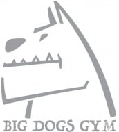 Фитнес клуб "Big Dogs Gym", гр. Русе