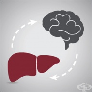 Чернодробна енцефалопатия