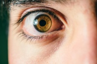 ����������� ��������� �� �����