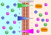 �������� �� ������������ ���������