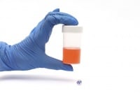 ���� � �������