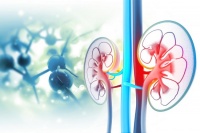 ����� �� ���������