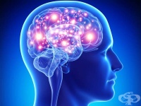 Мозъчна инфекция