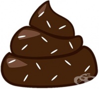 Несмляна храна в изпражненията