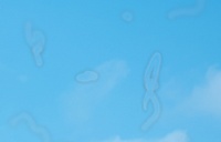 ������� ����� � ���������� ����