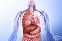 Полиорганна недостатъчност