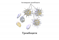 ����� ���������� � ������