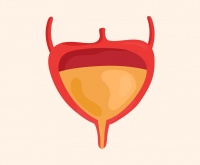 ��������� ����� �� �������� �����