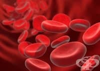 ���� �� 2,3 ���������������