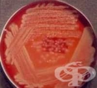 ��������������� ���������� �� ���� ��� ����