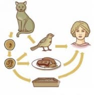 ���������� �� �������������