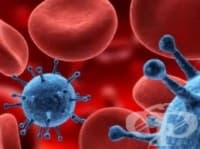 ���� �� ������ �� ������-���