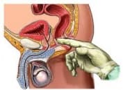 ������ ����������