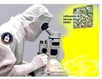 ���� �� ����� ���� ��� �