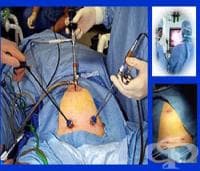 ����������� ������������