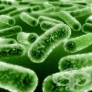 ���� �� �������