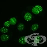 ��������������� ��������