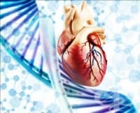 ��������� ����������� ��� ��������-������ �����������