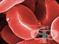 6-������������� ������������� ����