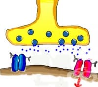 ���� �� �������� ����� ��������� �� �����������