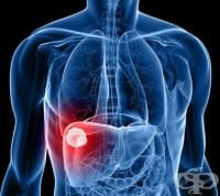 ���� ����������� L3 ����