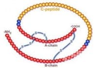 C-������