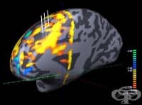 ������������ ��� �� �����