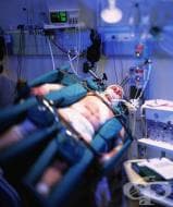 ������� ���� �����