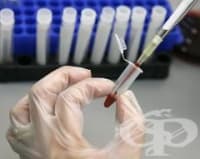 ���� - �����������