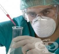 ������������� �������