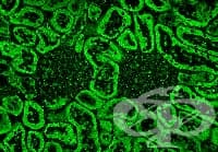 ������������������ ��������