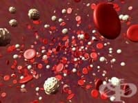 �������� ����� ������������