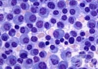 ������ �� ���� ������