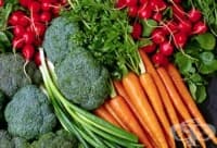 ����-�������