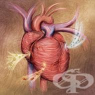 ���������� ������� �� ������������ �� ���������������� ��� ������������