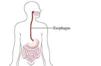 ������������ ���������� �� ������������