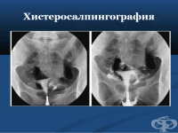 ���������������������