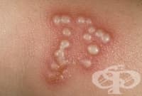 ���������� �� ������ ��������