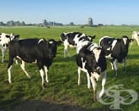 ���������� �� �������