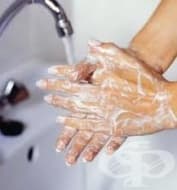 ���������� �� ����������