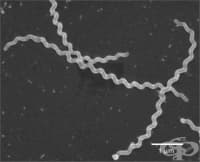 ���������� �� ������������