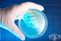 ���������� �� �����������