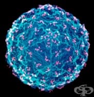 ���������� �� ���������