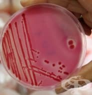 ���������� �� ���������