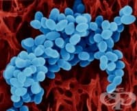 ���������� �� �����������