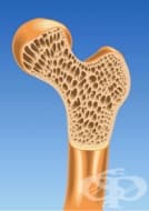 ���������� �� �����������