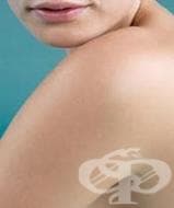 ����� ������������� �������