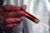 ��������������� ���������� �� ������������ �������