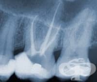 ������������ ��������������