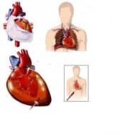 �����������������